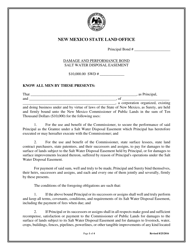 Document preview: Salt Water Disposal Damage Bond - New Mexico
