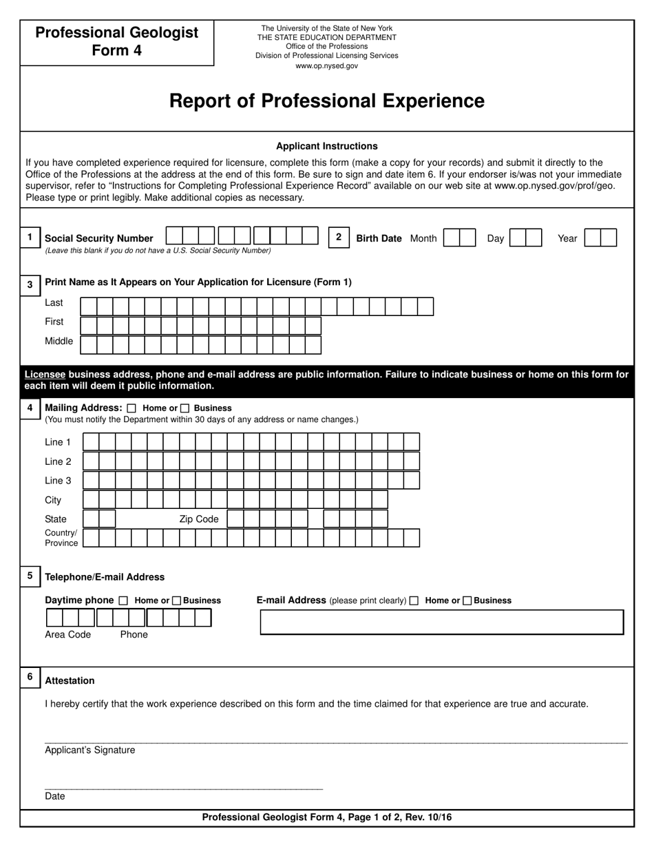 Professional Geologist Form 4 Report of Professional Experience - New York, Page 1
