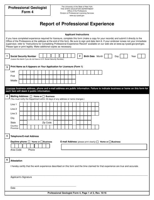 Professional Geologist Form 4 Report of Professional Experience - New York
