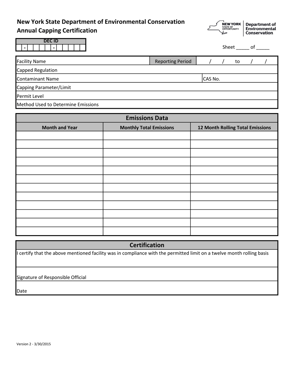 Annual Capping Certification - New York, Page 4