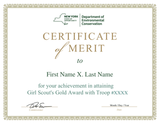 Document preview: Girl Scout Gold Award Certificate of Merit - New York