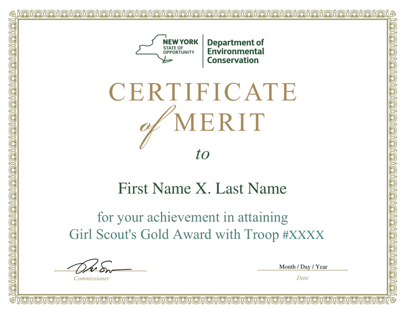 Girl Scout Gold Award Certificate of Merit - New York