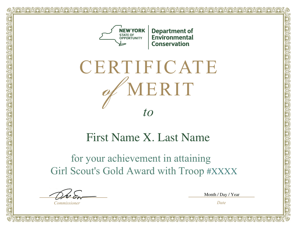 Girl Scout Gold Award Certificate of Merit - New York, Page 1