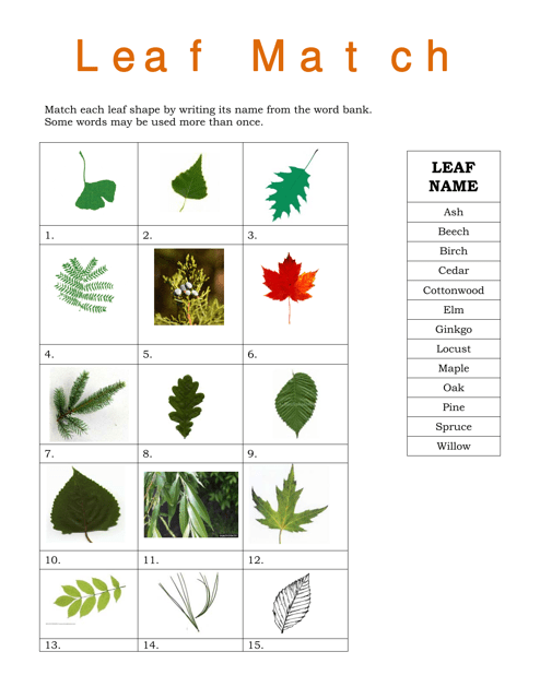 Leaf Match Worksheet