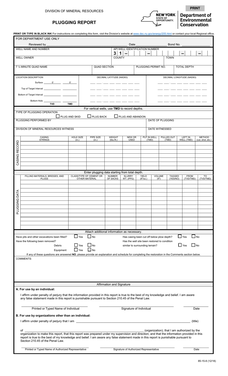 Form 85-15-8 Plugging Report - New York, Page 1