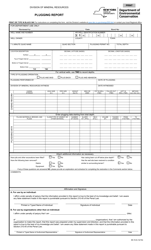 Document preview: Form 85-15-8 Plugging Report - New York
