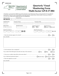 Document preview: Msgp Quarterly Visual Monitoring Form - New York