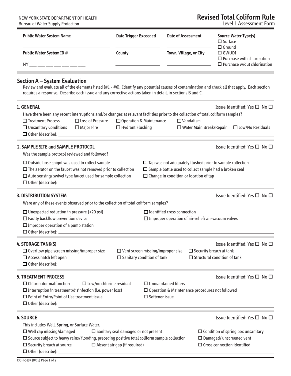 Form DOH-5197 Revised Total Coliform Rule: Level 1 Assessment Form - New York, Page 1