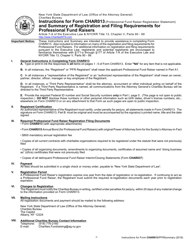 Form CHAR013 Professional Fund Raiser Registration Statement - New York, Page 6