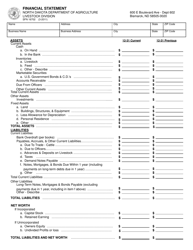 Document preview: Form SFN16702 Financial Statement - North Dakota