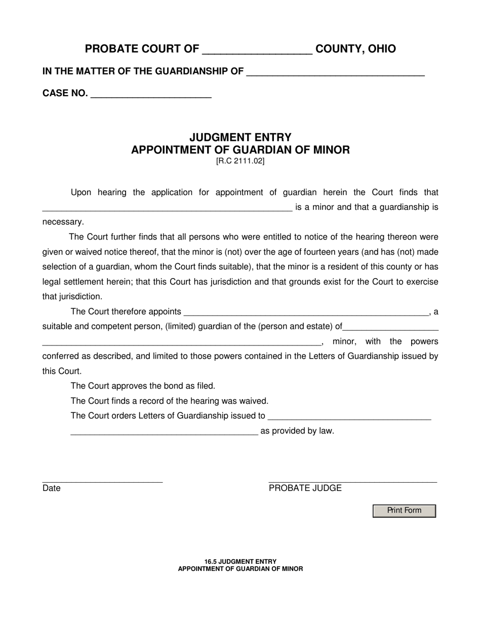 Form 16.5 Judgment Entry Appointment of Guardian of Minor - Ohio, Page 1