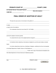 Document preview: Form 19.1 Final Order of Adoption of Adult - Ohio
