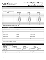 Form TWG-4 (BWC-3002) Transitional Work Grant Program Corporate Analysis Questionnaire Work Sheet - Ohio, Page 2
