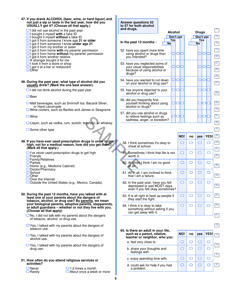 Prevention Needs Assessment Survey - Sample - Oklahoma, Page 5