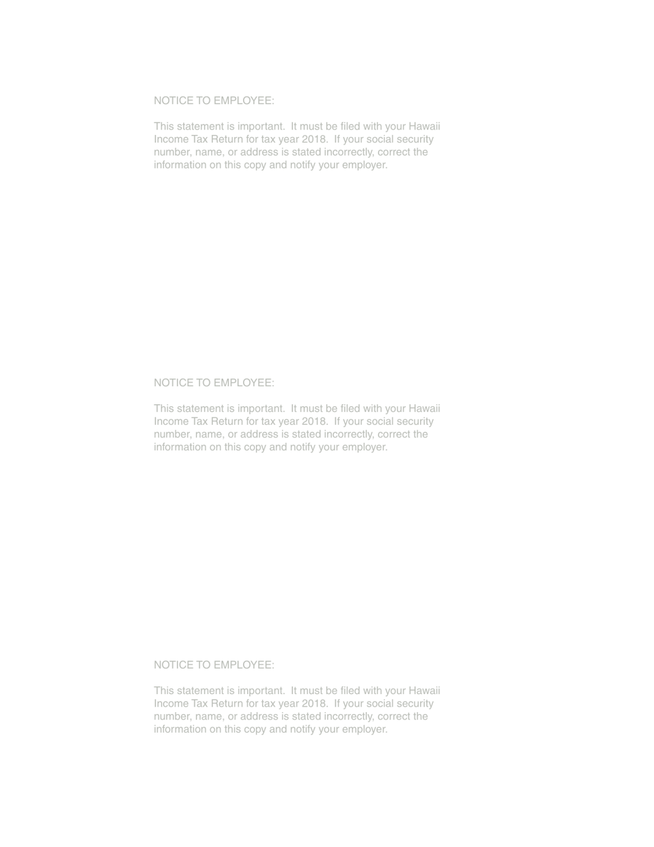 Form HW-2 Statement of Hawaii Income Tax Withheld and Wages Paid - Hawaii, Page 4