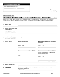 Official Form 201 Voluntary Petition for Non-individuals Filing for Bankruptcy