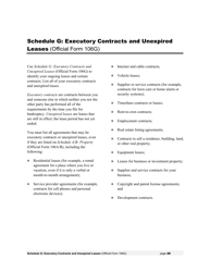 Instructions for Bankruptcy Forms for Individuals, Page 28
