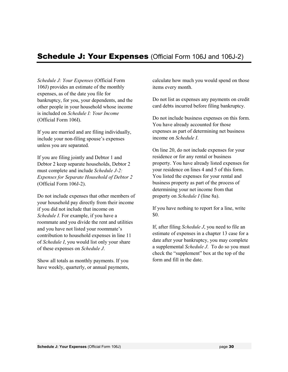 Instructions for Bankruptcy Forms for Individuals, Page 32