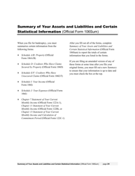 Instructions for Bankruptcy Forms for Individuals, Page 33