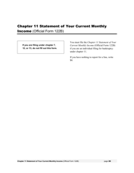 Instructions for Bankruptcy Forms for Individuals, Page 37