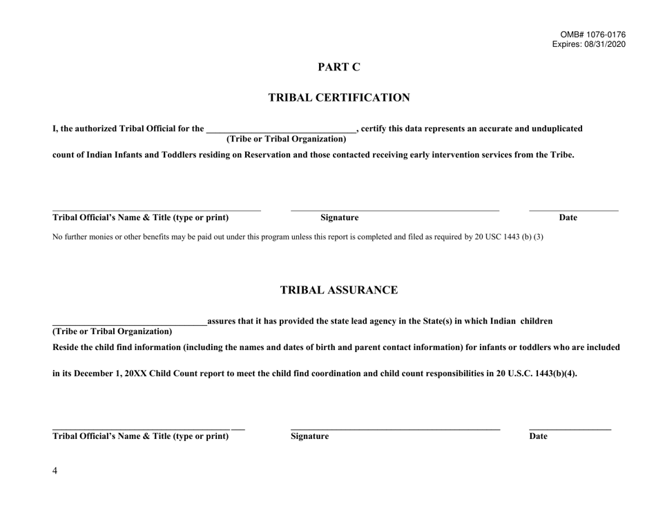 Ideia Tribal Count Data Requirements Part C (Birth Through 2 Years), Page 6