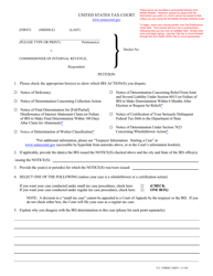 T.C. Form 2 Petition (Simplified Form), Page 2