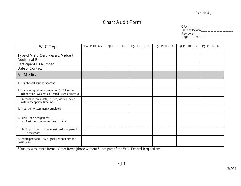 Exhibit 4-J Chart Audit Form - Minnesota, Page 1