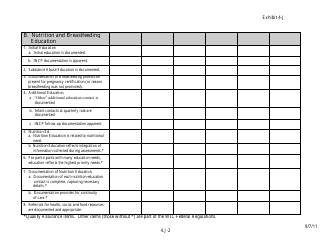 Exhibit 4-J Chart Audit Form - Minnesota, Page 2
