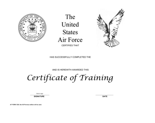 Document preview: AF Form 1256 Certificate of Training (LRA)