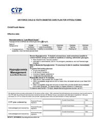 AF Form 3417 Air Force Child and Youth Diabetes Care Plan for Blood Glucose Testing, Page 2