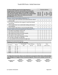Form BH-12A Youth Sud Initial Outcome Tool - South Dakota, Page 3