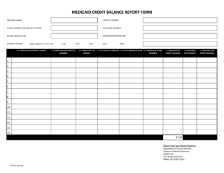 Medicaid Credit Balance Report Form - South Dakota, Page 2