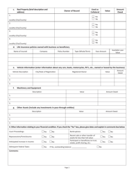 Form FIN B-1 Financial Statement for Businesses - Virginia, Page 2