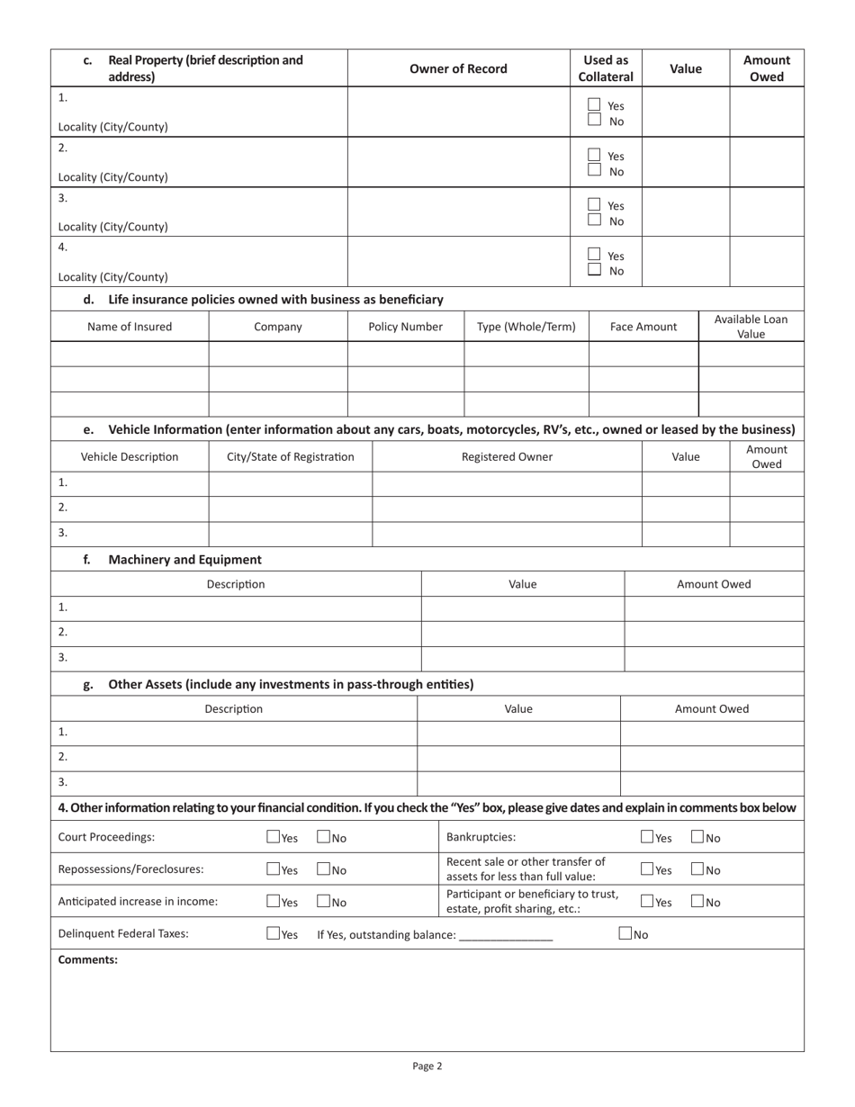 Form FIN B-1 Financial Statement for Businesses - Virginia, Page 2