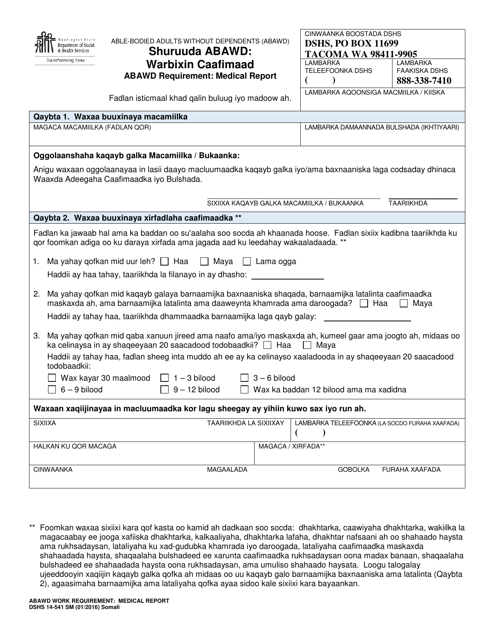 DSHS Form 14-541  Printable Pdf