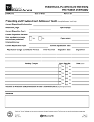 Form CS-0727 Initial Intake, Placement and Well-Being Information and History - Tennessee, Page 10
