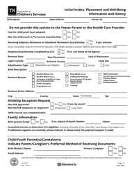 Form CS-0727 Initial Intake, Placement and Well-Being Information and History - Tennessee, Page 13