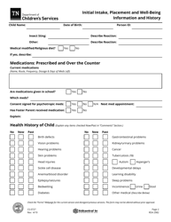 Form CS-0727 Initial Intake, Placement and Well-Being Information and History - Tennessee, Page 2