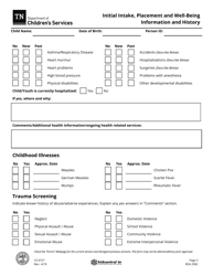 Form CS-0727 Initial Intake, Placement and Well-Being Information and History - Tennessee, Page 3