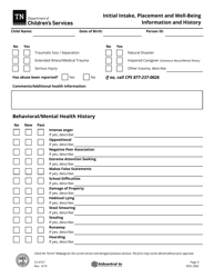 Form CS-0727 Initial Intake, Placement and Well-Being Information and History - Tennessee, Page 4