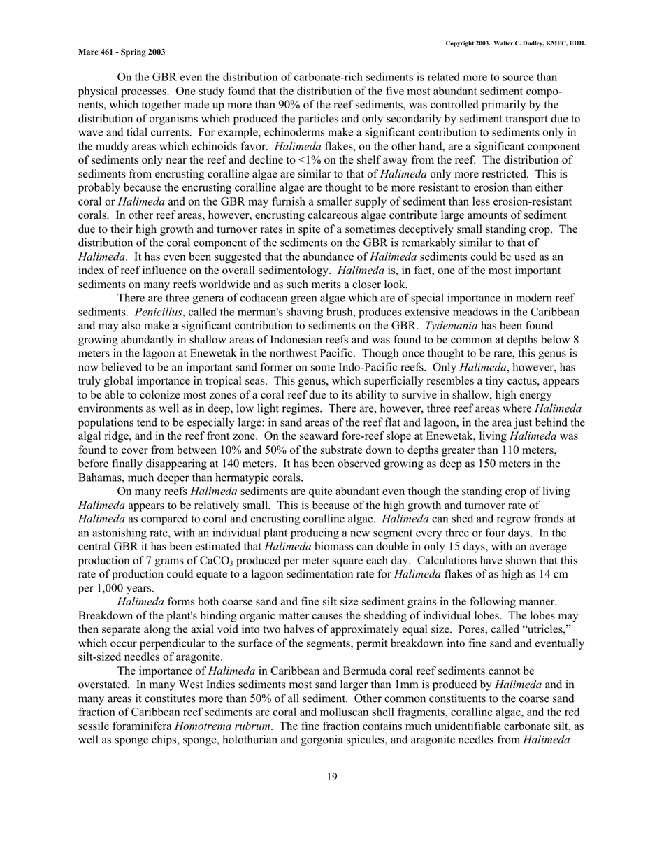Coral Reef Sedimentology - Walter C. Dudley, Kmec, Uhh (Mare 461 - Spring 2003), Page 19