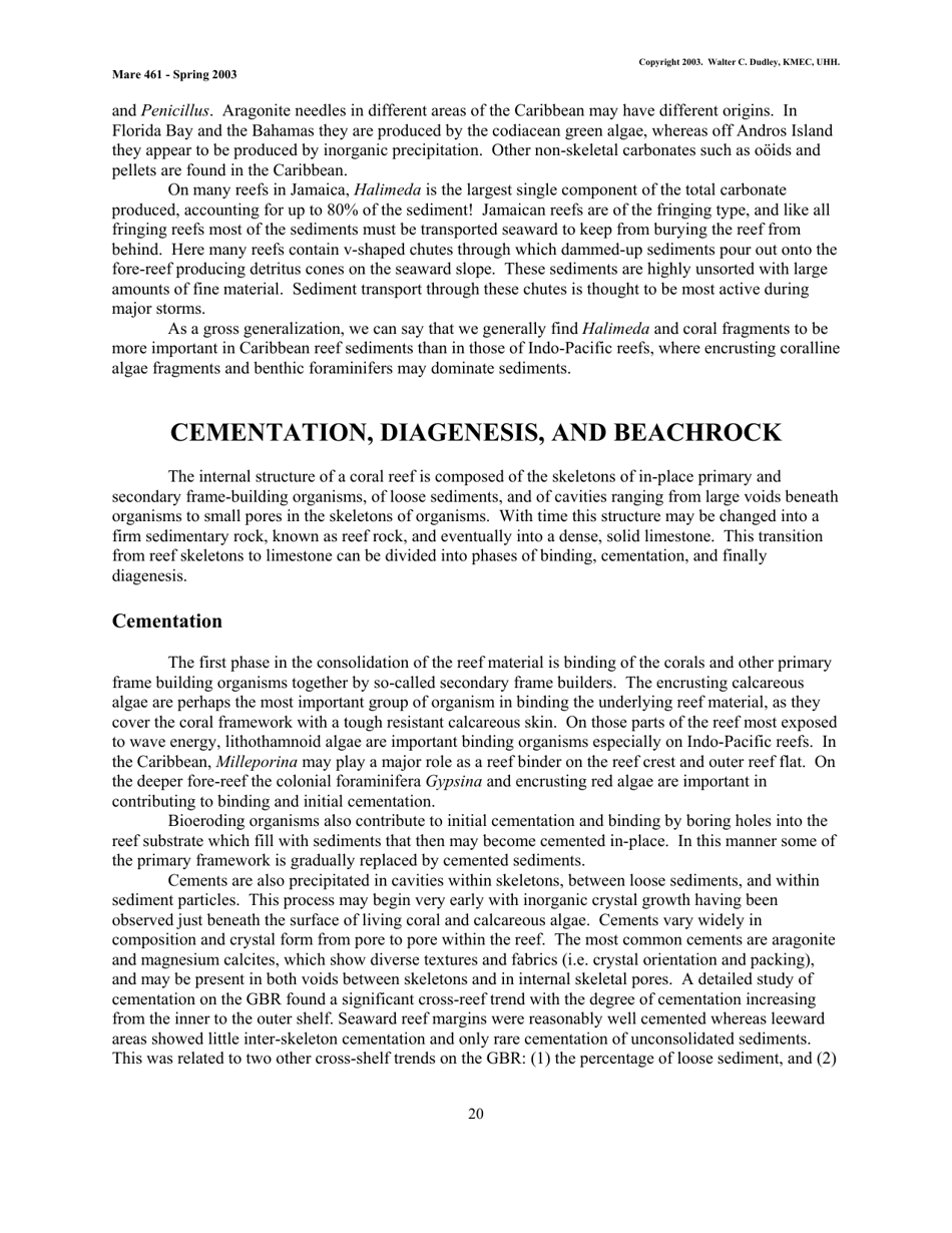 Coral Reef Sedimentology - Walter C. Dudley, Kmec, Uhh (Mare 461 - Spring 2003), Page 20