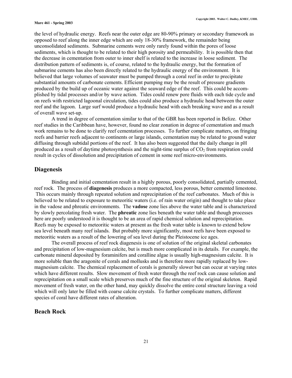Coral Reef Sedimentology - Walter C. Dudley, Kmec, Uhh (Mare 461 - Spring 2003), Page 21