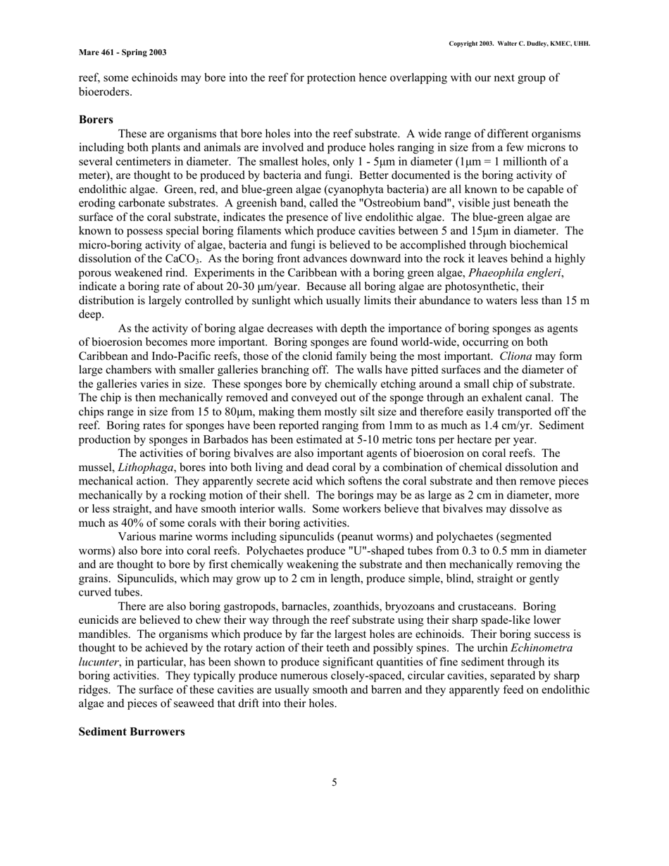 Coral Reef Sedimentology - Walter C. Dudley, Kmec, Uhh (Mare 461 - Spring 2003), Page 5
