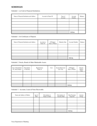 Business Financial Statement - Texas, Page 2