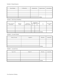 Business Financial Statement - Texas, Page 3