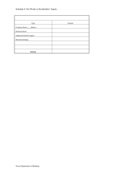 Business Financial Statement - Texas, Page 4
