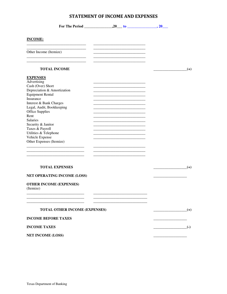 Business Financial Statement - Texas, Page 5