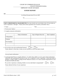 Form G-06 Expert Report - Pennsylvania, Page 2