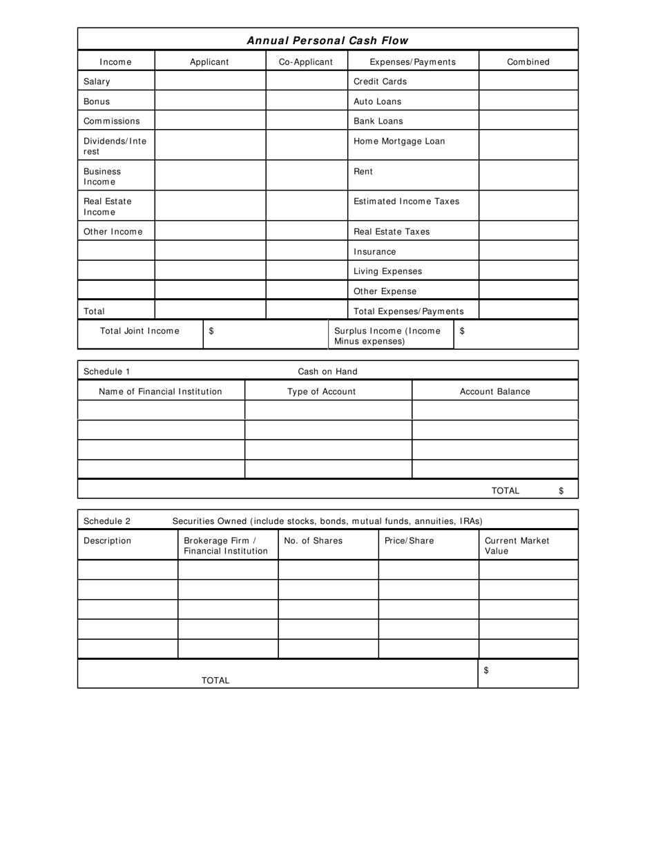 Financial Statement - South Carolina, Page 3